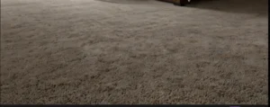 Carpet: A Warm Hug for Your Feet